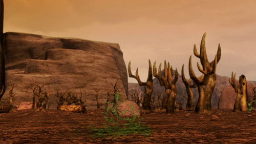 Background image for The Forest Fire