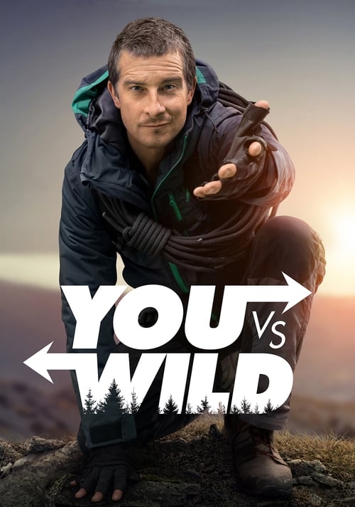 Show cover for You vs. Wild