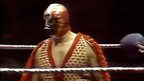 Background image for Madison Square Garden: Dec. 19, 1977