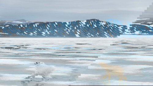 Background image for Svalbard