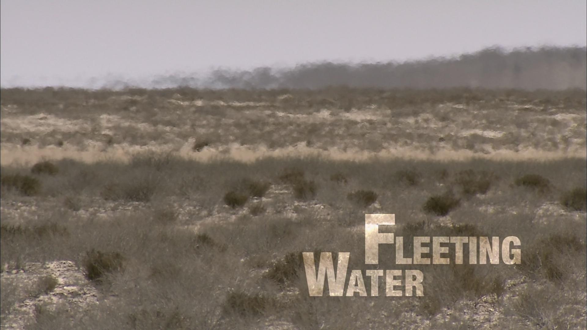 Fleeting Water