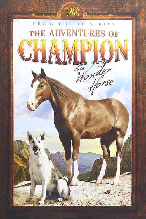 Show cover for The Adventures of Champion