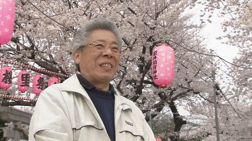 Tokyo in Springtime - The Taste of Tradition