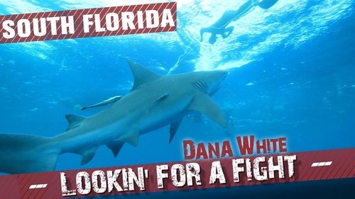 Background image for South Florida
