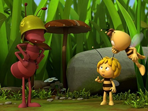 Dancing with Bees