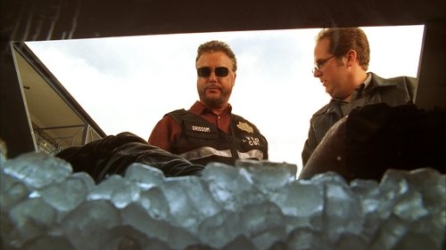 Background image for Assume Nothing (1)