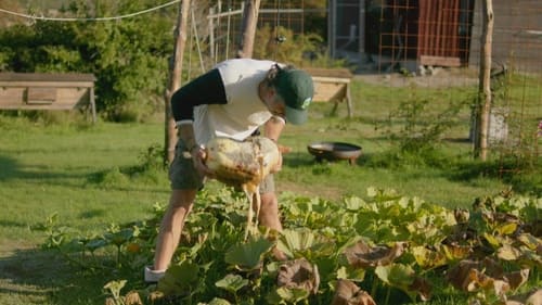 ”I'm going to harvest the largest pumpkin of 2021 in Sweden!”