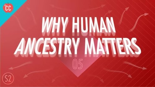 Background image for Why Human Ancestry Matters