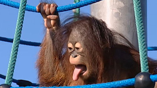 Background image for Episode 3