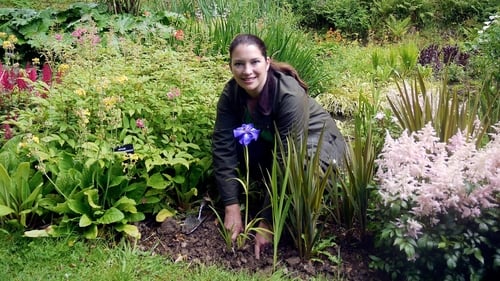 Irises and Ornamental Grasses