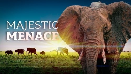 Background image for Majestic Menace - Botswana