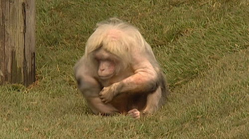 Background image for Episode 9