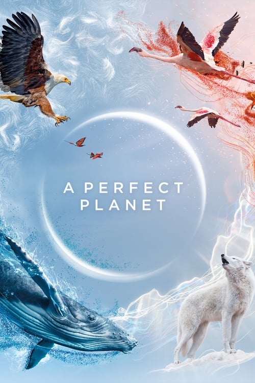 Show cover for A Perfect Planet