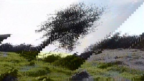 Background image for Episode 16