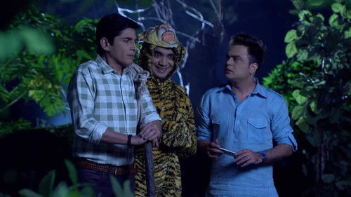 Saxena Befriends The Tiger In The Forest