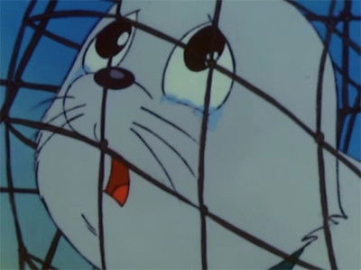 Background image for The Pick Up