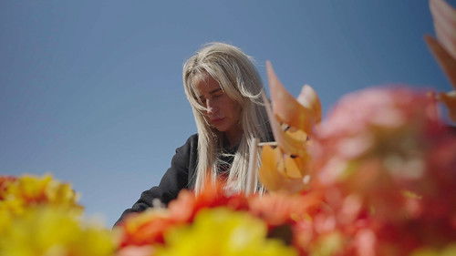 Background image for A Shooting in Aintree