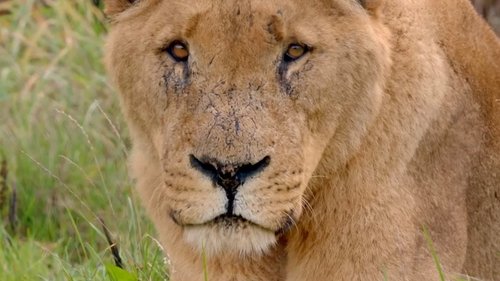 Background image for Episode 4