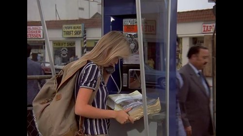 Background image for Rabbits on the Runway