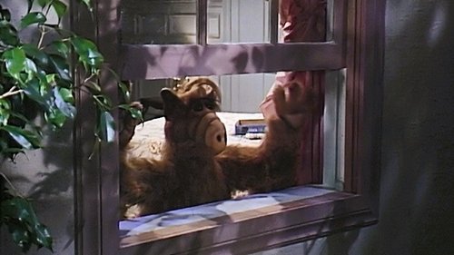 Background image for Strangers in the Night