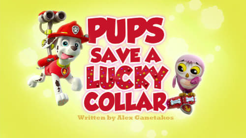 Pups Save a Lucky Collar