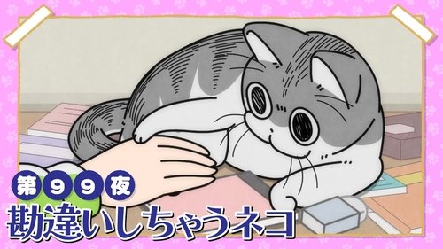 Night 99: The Cat That Gets the Wrong Idea