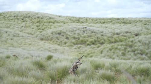 Hawaii Feral Goats and Wahoo