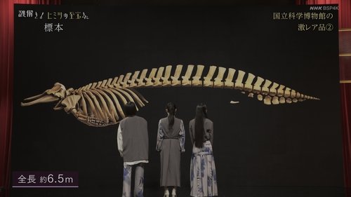 Background image for National Museum of Science Specimen