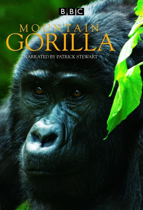 Show cover for Mountain Gorilla