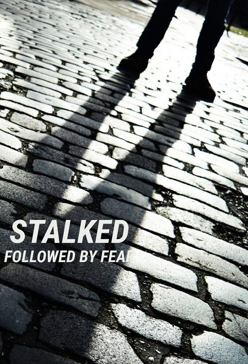 Stalked: Followed By Fear poster