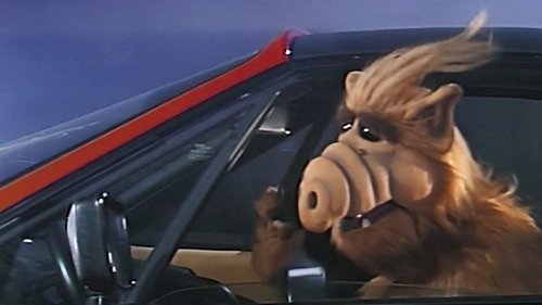 Background image for Baby, You Can Drive My Car
