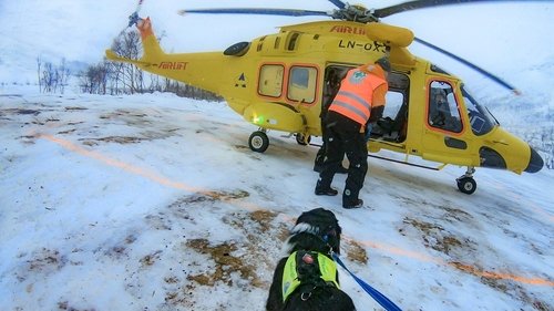 Background image for Missing skier