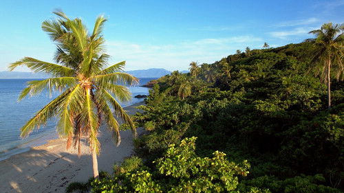 Background image for Episode 13