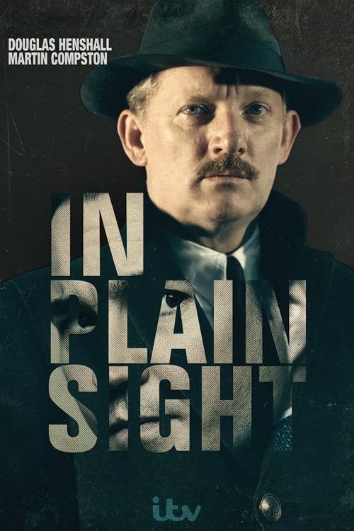 Show cover for In Plain Sight