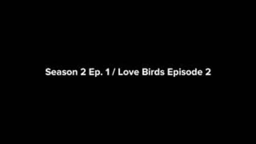 Love Birds Episode 2