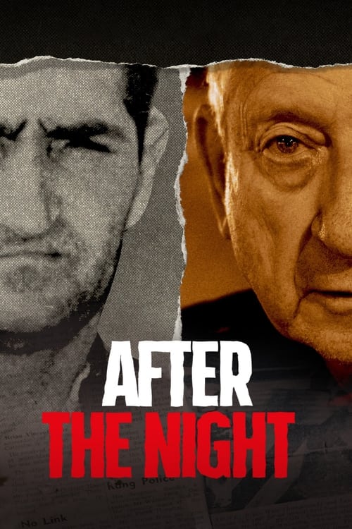 Show cover for After the Night