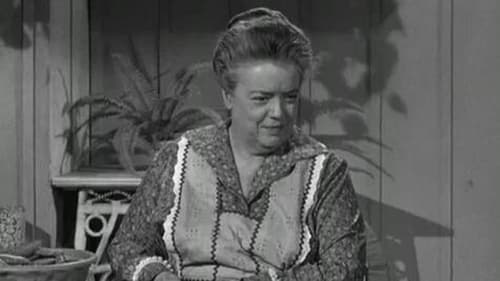 Aunt Bee's Brief Encounter