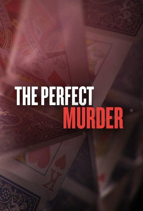 Show cover for The Perfect Murder