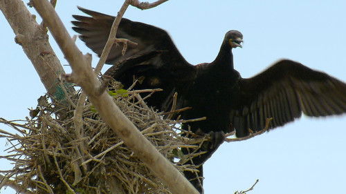 Background image for Bad Reputations