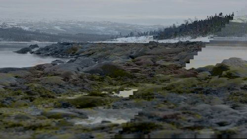 Background image for The Last Hope