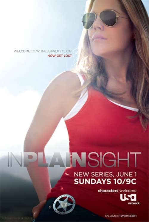 Show cover for In Plain Sight