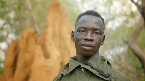 Background image for Ghana