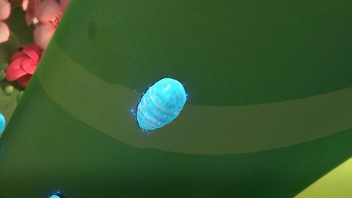 Background image for Episode 11
