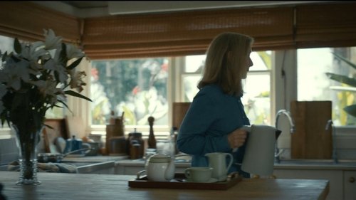 Background image for Gray Starling