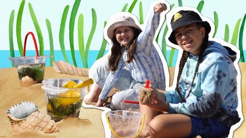 Background image for Ocean Gardens