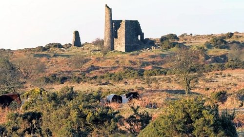 Background image for Bodmin Moor