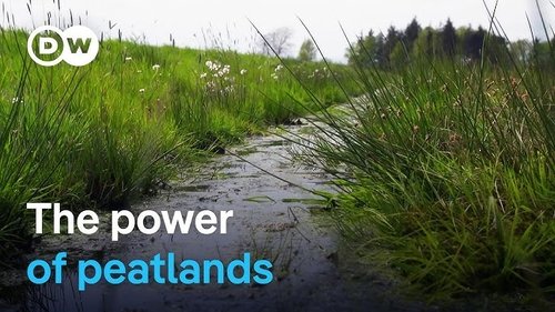 Background image for Climate protection from moors