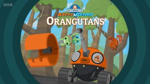 Orangutans