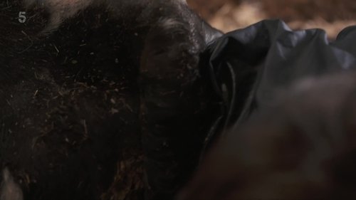 Background image for Episode 4