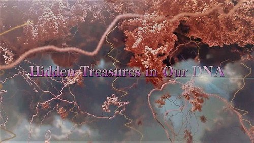 Hidden Treasures in Our DNA